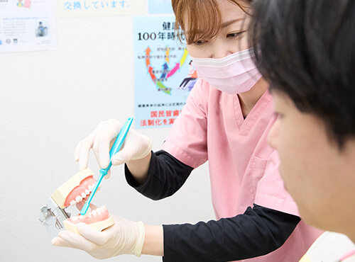 歯磨き上手のコツはお口に合った歯ブラシ